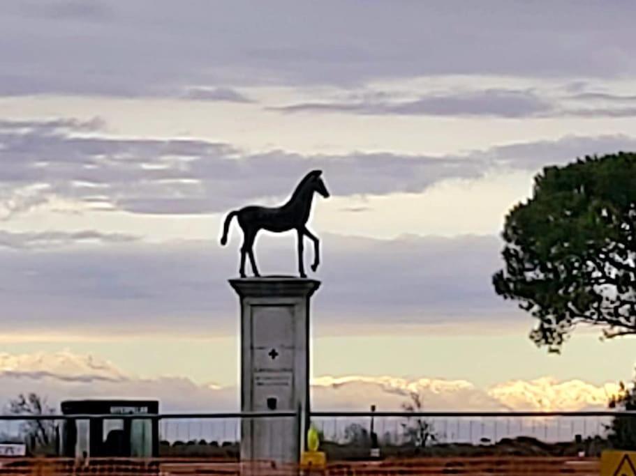 Appartamento Con Vista A Cavallino Venezia ภายนอก รูปภาพ